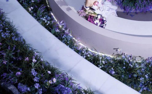 #崩坏星穹铁道##星穹铁道遐蝶#小南宫zzZ